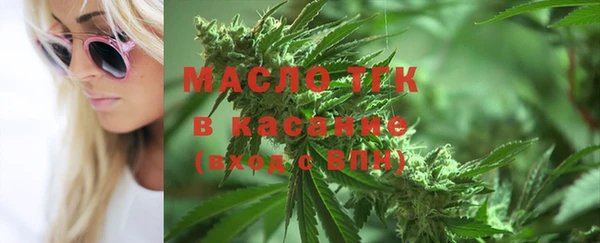 индика Баксан