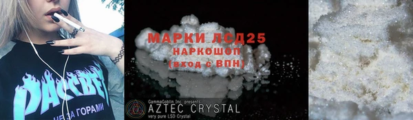 индика Баксан