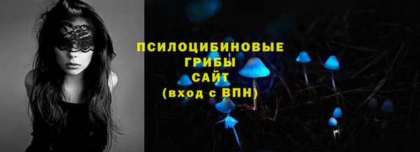 индика Баксан