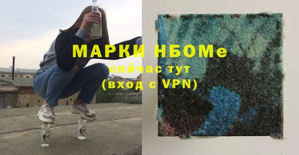 индика Баксан