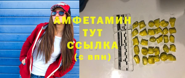 индика Баксан