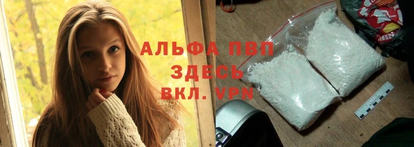 индика Баксан