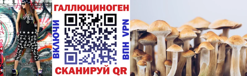 магазин  наркотиков  Семикаракорск  Галлюциногенные грибы Cubensis 