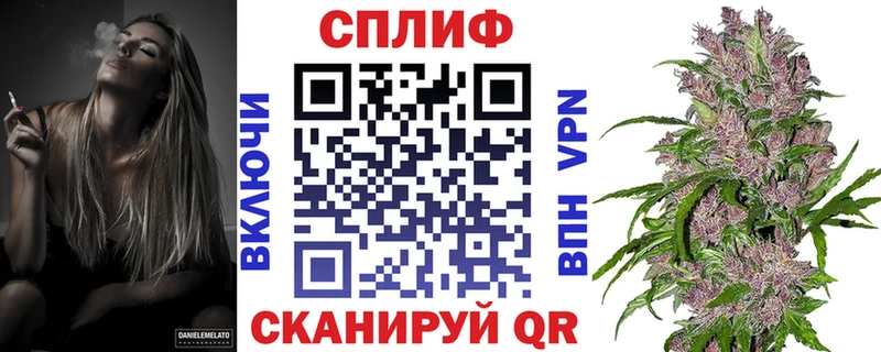 Бошки марихуана MAZAR где купить Семикаракорск